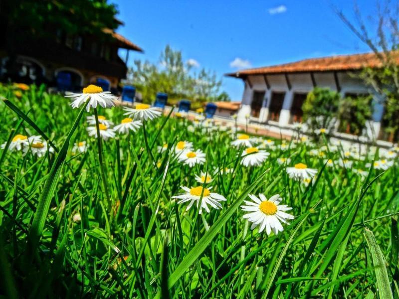 Hotel Izvora - Garden Retreat Arbanasi Ngoại thất bức ảnh