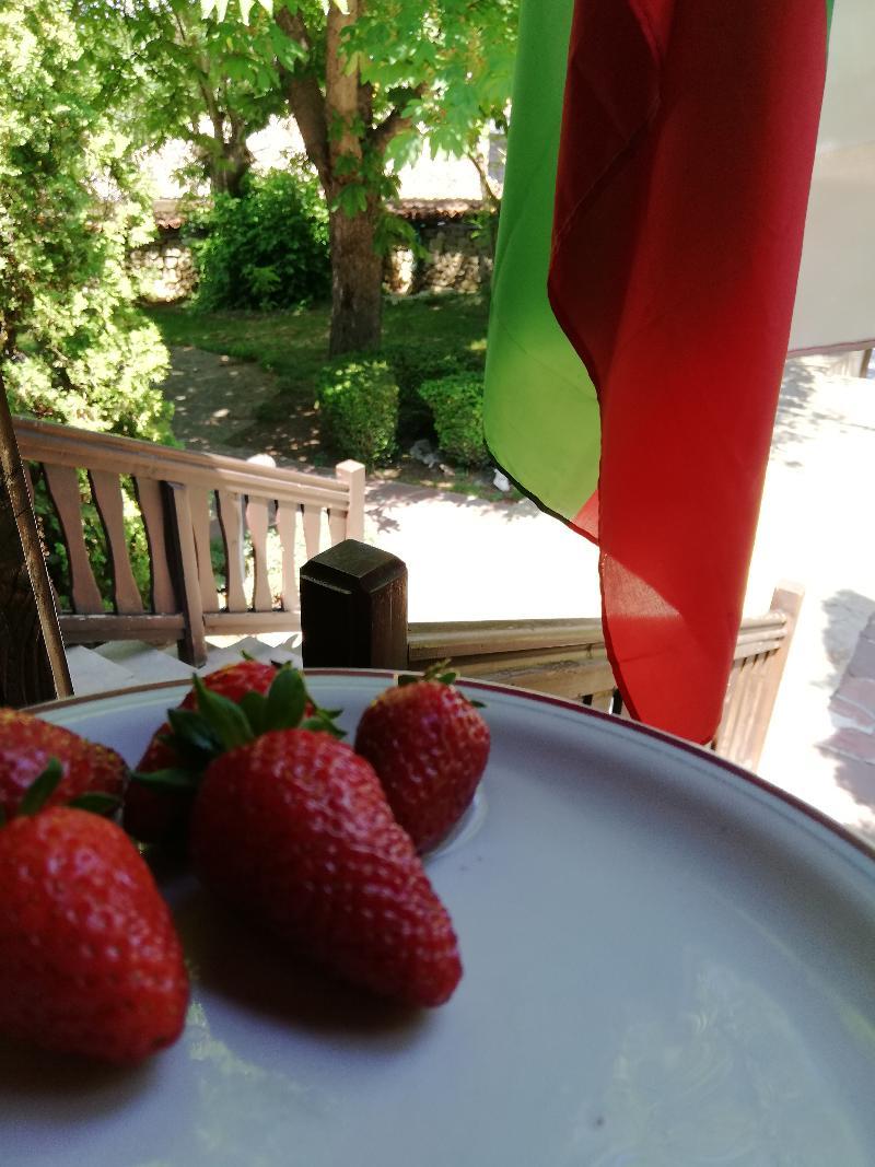 Hotel Izvora - Garden Retreat Arbanasi Ngoại thất bức ảnh